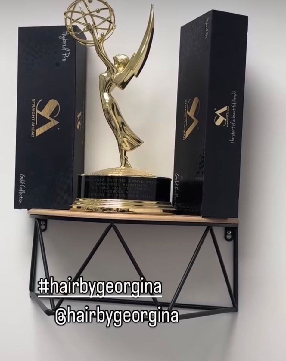 Two Straight Ahead Hybrid Pro boxes on a shelf beside a Daytime Emmy award
